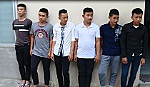 Cảnh báo thực trạng hủy hoại tài sản người khác