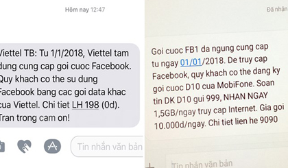 Tin nhắn trả về của nhà mạng khi khách hàng đăng ký gói cước Facebook vào ngày 4/1. (Ảnh: Vietnam+)