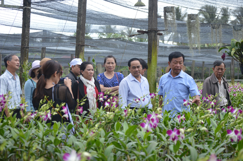 Du khách đến đây tư vấn cách trồng và chăm sóc từ Ông Dũng Giám đốc Điền Lan Thôn Trang.