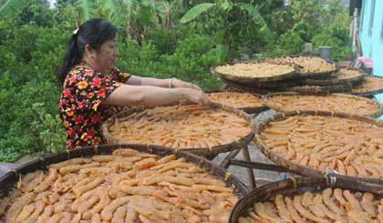 Đang vào mùa sản xuất mứt tết.