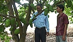 Xã Phú Đông hiệu quả từ chuyển đổi cơ cấu cây trồng