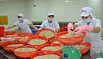 Chế biến thủy sản cần được cơ cấu lại