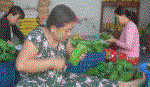 Thơm ngon bánh tét Hội Gia