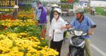 Hoa tràn ra Quốc lộ 50 chiều 30 tết