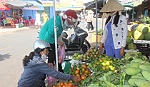 Rau, củ 