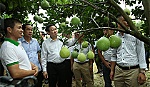 Xây dựng nông thôn mới và giảm nghèo đều vượt chỉ tiêu