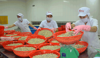 Chế biến thủy sản XK cần được cơ cấu lại.