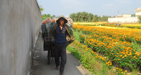 Vận chuyển hoa ra xe.