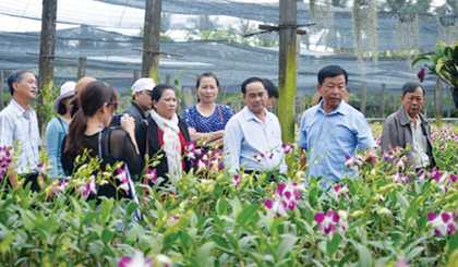 Khách tham quan vườn lan.