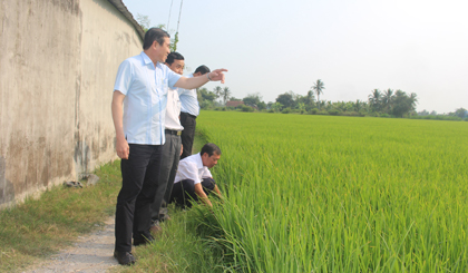 Chủ tịch UBND tỉnh thăm đồng tại huyện Gò Công Tây.