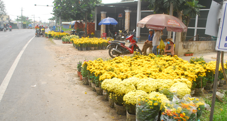 Hoa bày bán ở Quốc lộ 50.