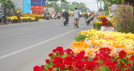 Bày bán hoa.