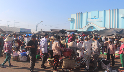 Nhộn nhịp chợ đầu mối trái cây Vĩnh Kim.