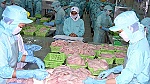 Xuất khẩu cá tra phấn đấu đạt kim ngạch 2- 2,2 tỷ USD