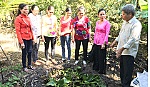 Một mô hình thu gom rác thải ở nông thôn