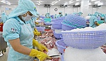 Doanh nghiệp cá tra phản đối quyết định thiếu công bằng của DOC