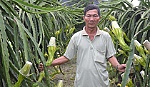 Nan giải bài toán hiệu quả vững bền.
