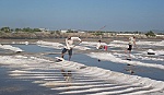 90% người dân Việt Nam ăn muối nhiều hơn mức khuyến cáo