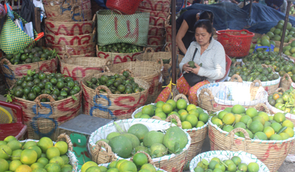 Nguồn cung hạn chế là nguyên nhân chính khiến giá trái cây vẫn còn cao.