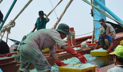 Tàu đánh bắt thủy sản về tại cảng Mỹ Tho. Ảnh: Như Lam