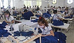Làm gì để kéo giảm ngừng việc tập thể?