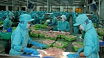 Thủ tướng sốt ruột vì các lô hàng thuỷ sản bị trả về