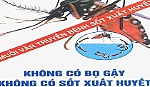 Sốt xuất huyết đang vào mùa