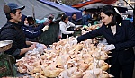 Phạt gần 20 tỷ đồng sai phạm về an toàn thực phẩm