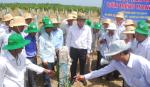 Chủ tịch UBND tỉnh gặp gỡ nông dân trồng thanh long.