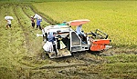 Sức bật mới của Tiền Giang