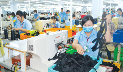 Túi xách, may mặc được xem có nhiều lợi thế của Tiền Giang.