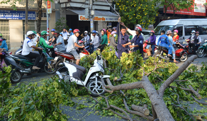 Chiếc xe máy nạn nhân bị đè dưới các nhánh cây.