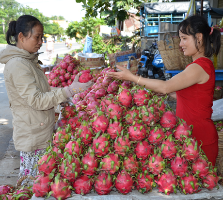 Tiêu thụ thanh long - Ảnh: Ngọc Lan.