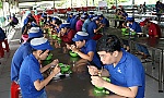 Ngộ độc ở bếp ăn tập thể: Vẫn còn nhiều nỗi lo