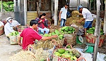 Mãng cầu xiêm 