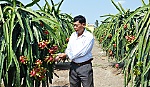 Anh năm Hừng và 