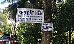 Sôi động đất phân lô bán nền