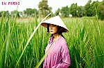 Ngô Thanh Vân đến Cannes 2018 giới thiệu phim mới