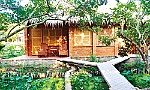 Những mô hình homestay độc đáo