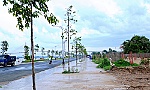 Chọn nhà đầu tư có đúng luật?