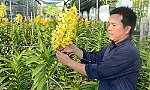 Điểm nhấn trong nghiên cứu khoa học và hỗ trợ phát triển