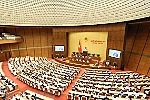 Có biểu hiện của 