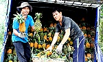 Khóm Tân Phước: Giá xuống rất thấp
