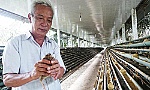 3 điển hình tiên tiến trong phong trào thi đua yêu nước