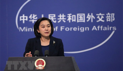 Bà Hoa Xuân Oánh. Nguồn: EPA/TTXVN