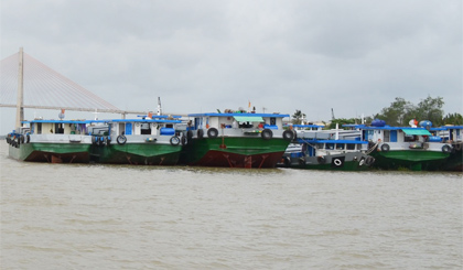 Ảnh minh họa. Ảnh: Vân Anh