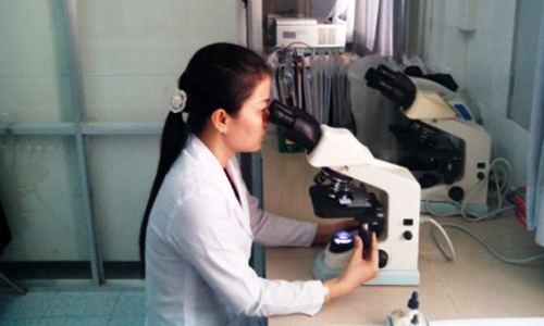 Soi lam tìm ký sinh trùng sốt rét.