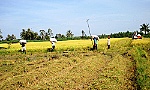 Đổi mới công tác thi đua, thúc đẩy kinh tế - xã hội phát triển