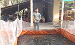 Khởi nghiệp với mô hình nuôi ếch Thái