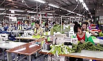 Tăng cường bảo đảm an toàn, vệ sinh lao động